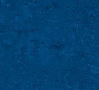 blueweb